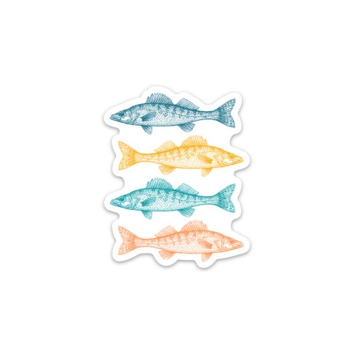 Creative Compass - Wholesale Sticker - Colorful Walleye Stickers