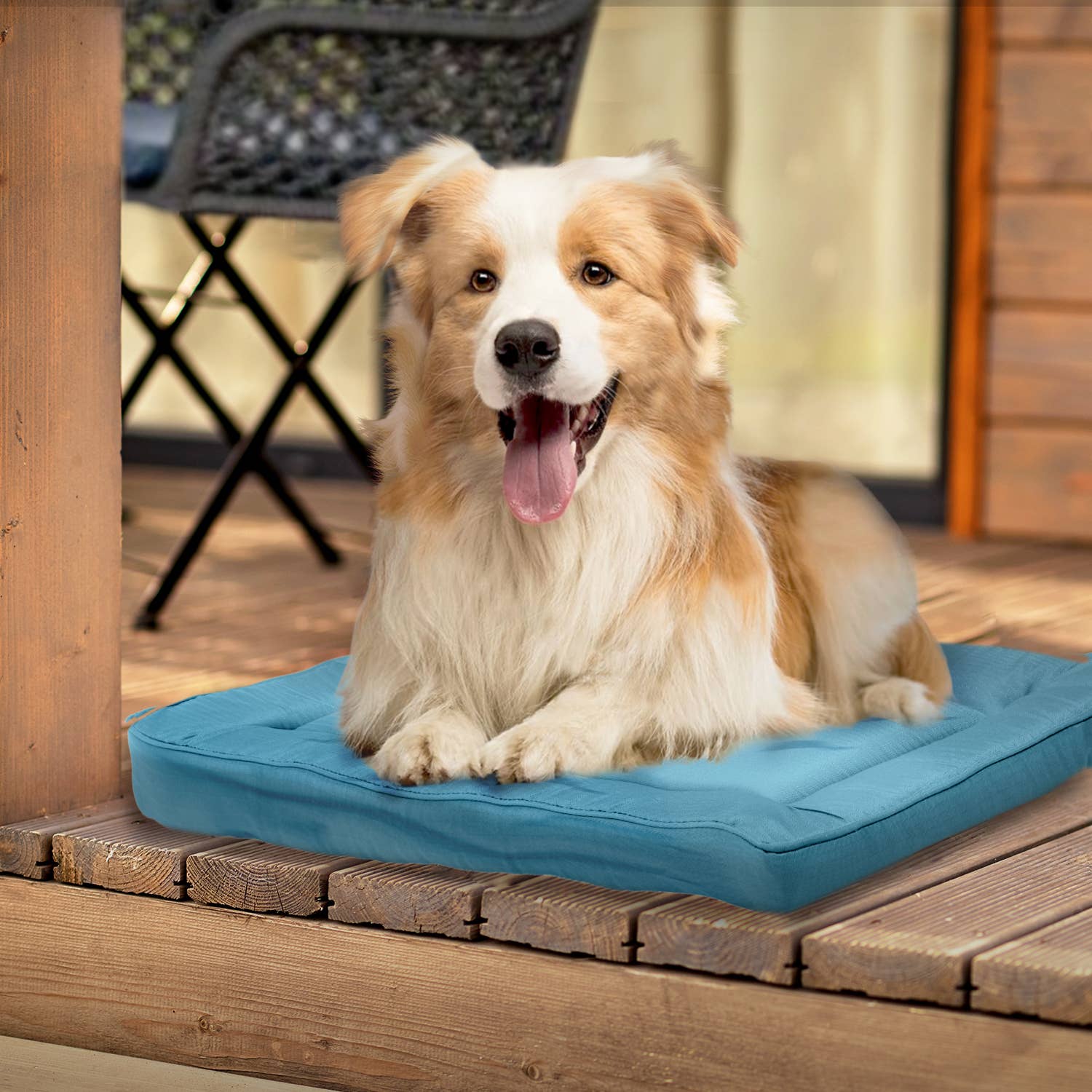Precious Tails - Wholesale Pet Bed - Cat/Dog - Precious Tails Orthopedic Pet Bed Crate Mat9
