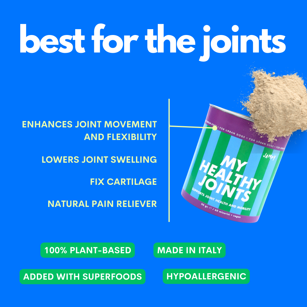 JAMPY - Wholesale Pet Supplement - Cat/Dog - My Healthy Joints - Dog Mobility Supplement Powder Plant-based 3