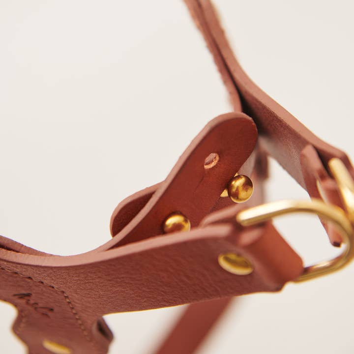 Muso & Co – Großhandel Haustiergeschirr – Hund – Klassisches Geschirr aus pflanzlich gegerbtem Leder9