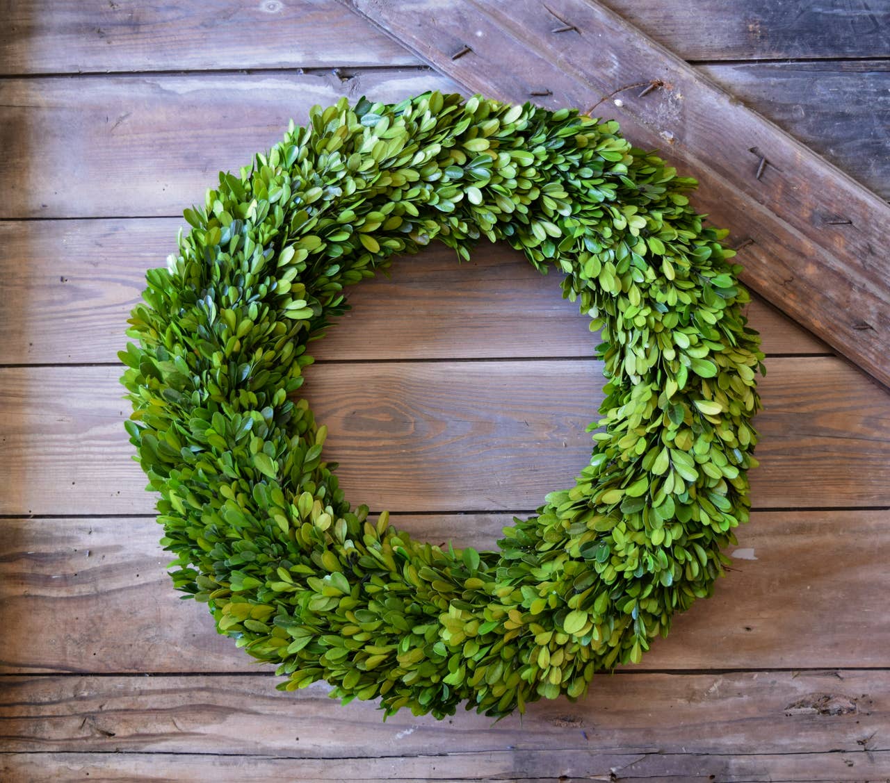 Mills Floral Company - Wholesale Wreath - Preserved Boxwood Country Manor Wreath - Round - 20 Inch2