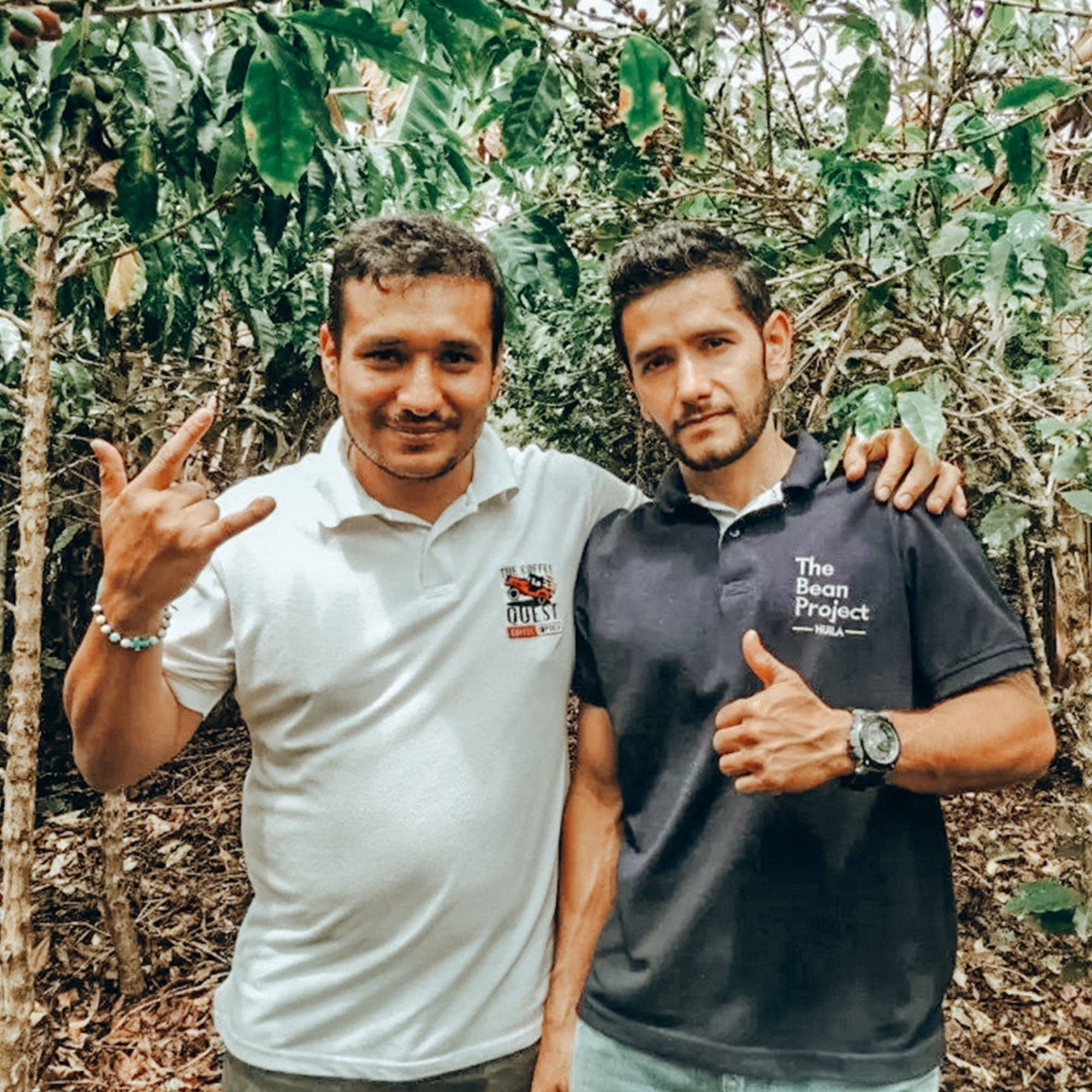 van Gülpen - Wholesale Coffee Beans - Columbia Pitalito Station2