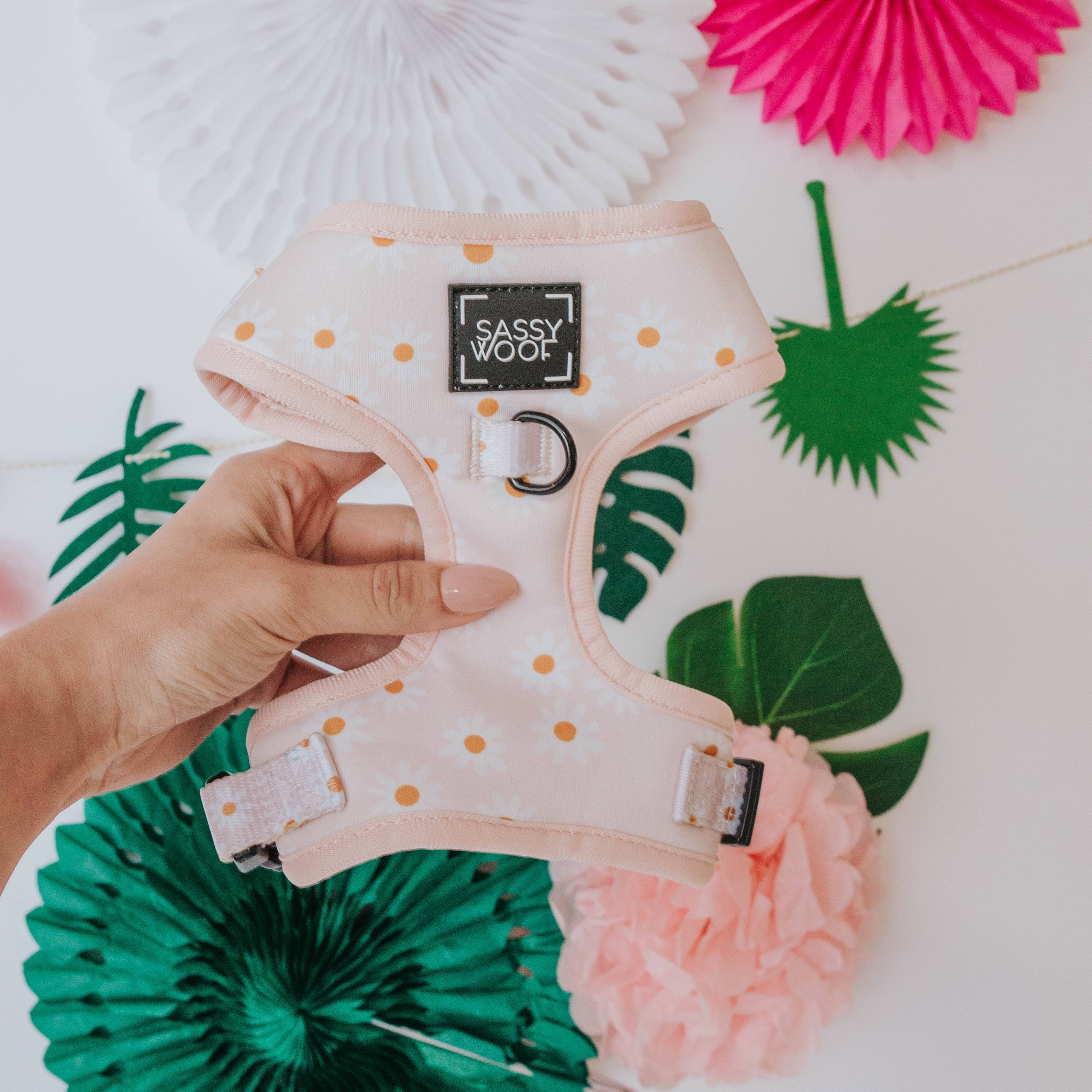 SASSY WOOF - Wholesale Pet Harness - Dog - Dog Adjustable Harness - Dainty Daisy4