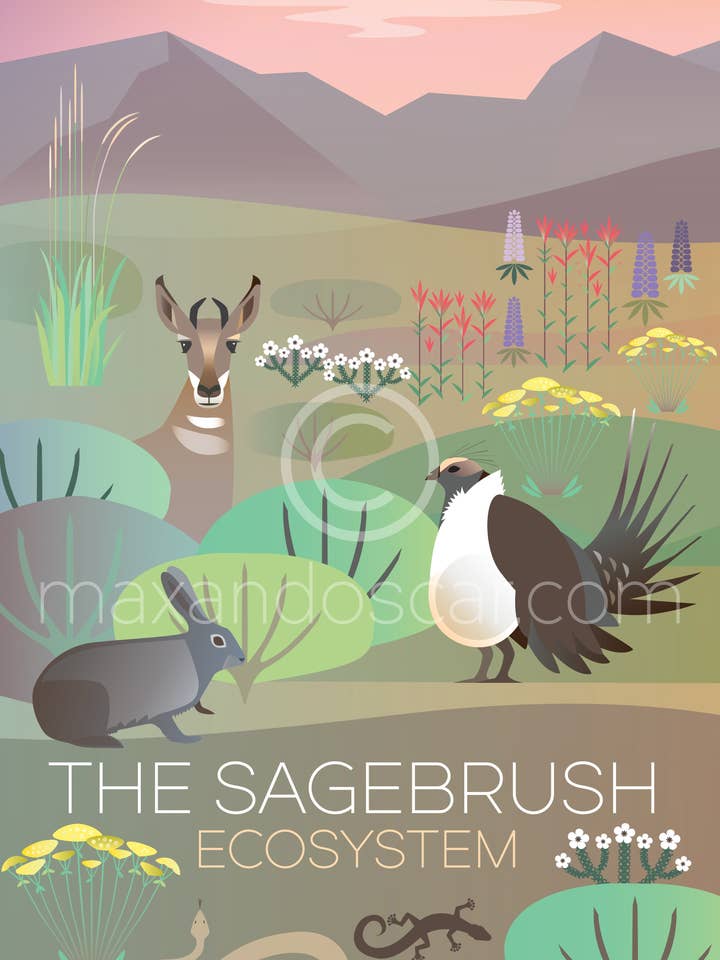 THE SAGEBRUSH ECO SYSTEM PRINT for wholesale by Max & Oscar