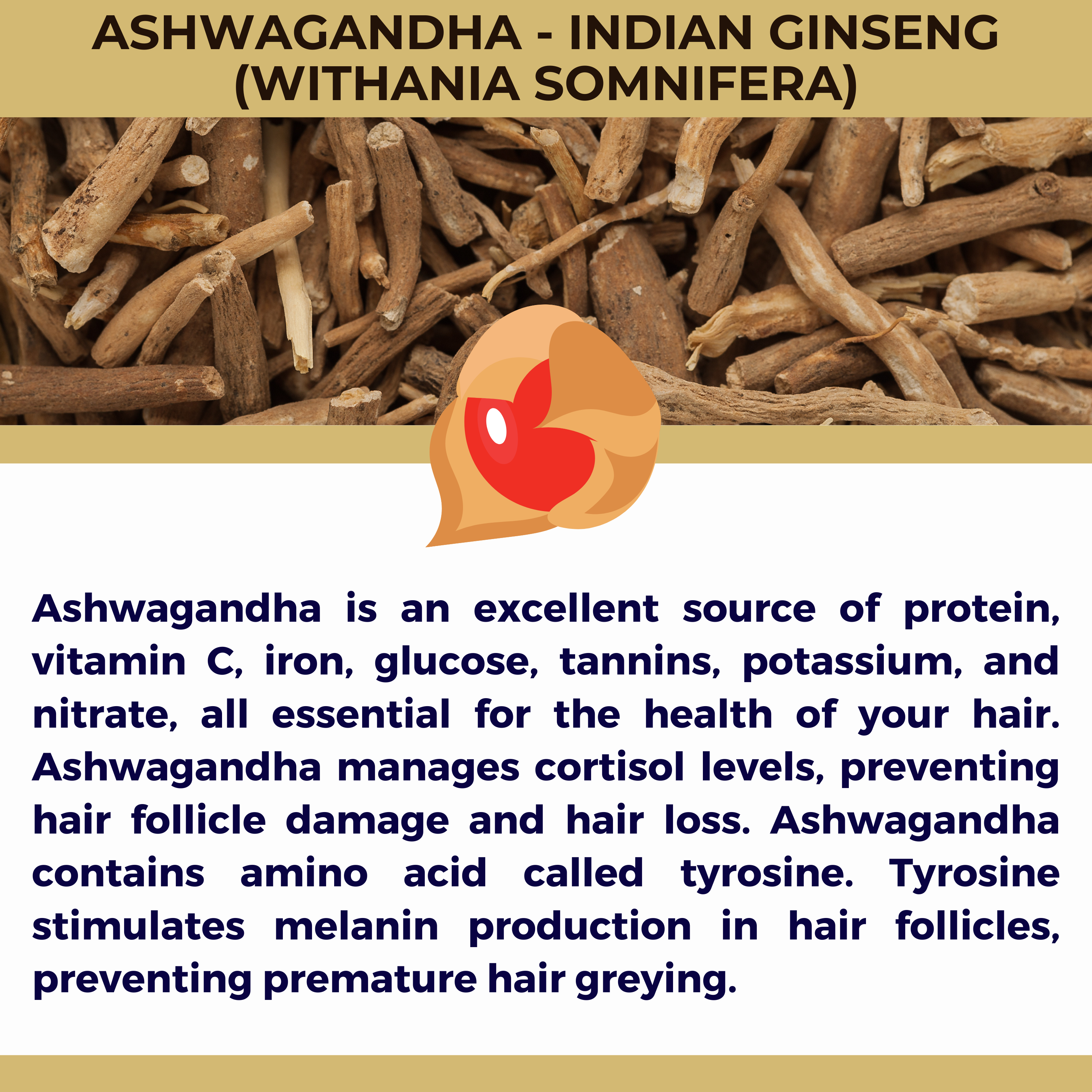 The Sacred Essence - Wholesale Hair Serum - MANA Ayurveda Hair Restoration Serum - Hair Superpower19