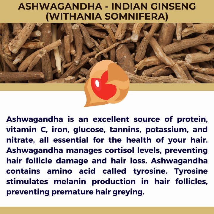 The Sacred Essence - Wholesale Hair serum - MANA Ayurveda Hair Restoration Serum - Hair Superpower19