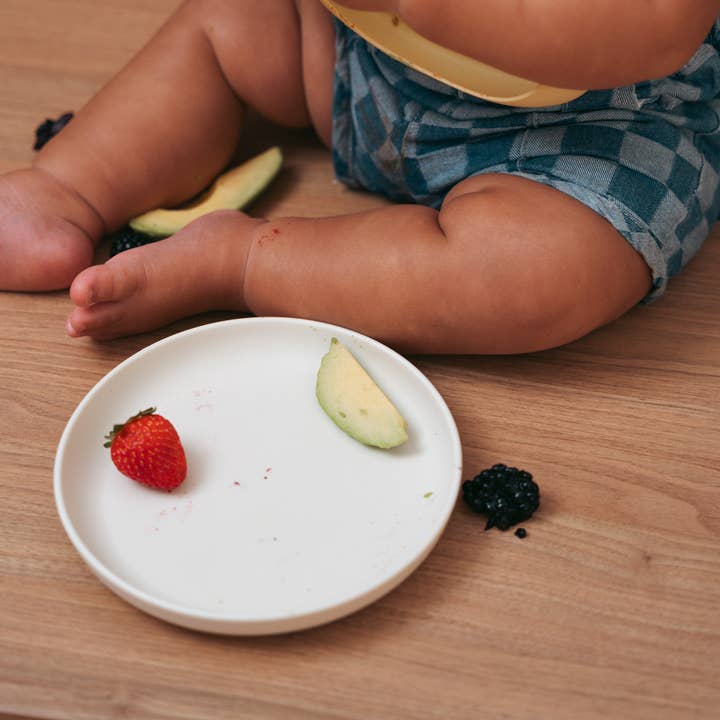 Rommer - Wholesale Dinner Plate - Kids & Baby - Plate13