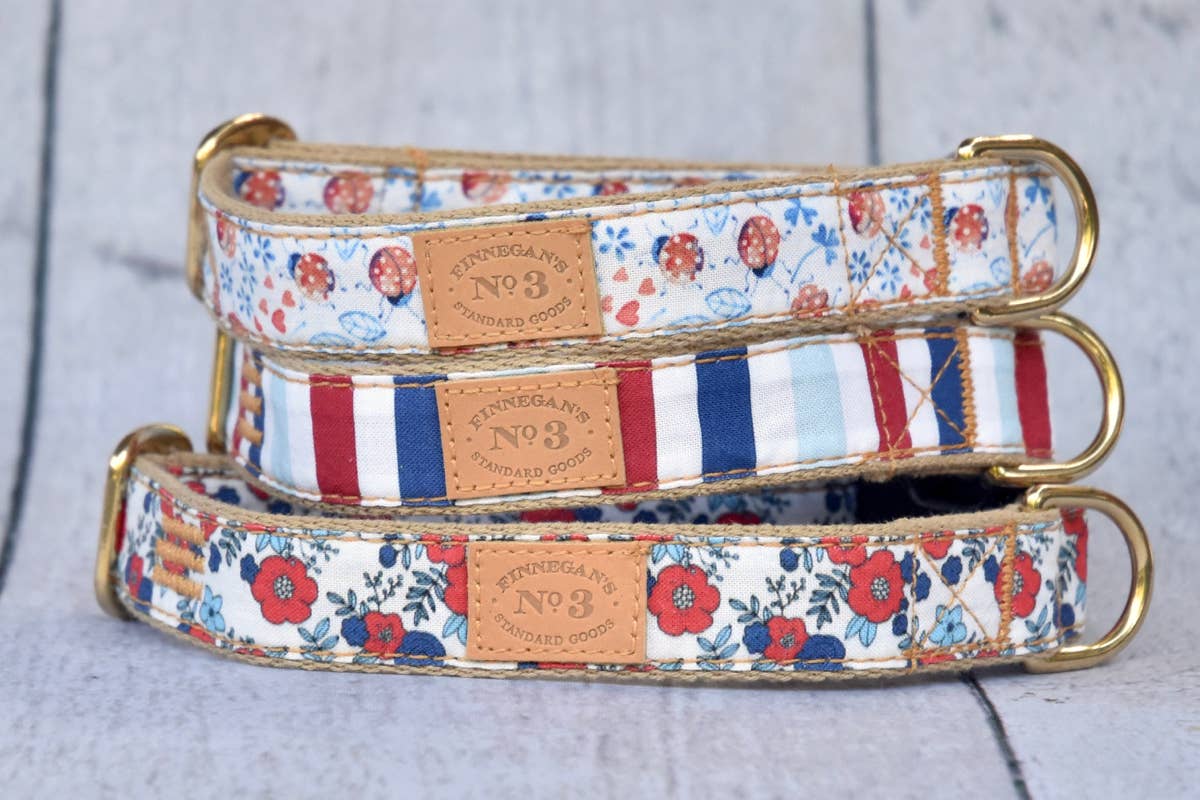 Finnegan’s Standard Goods - Wholesale Pet Collar - Dog - 1 inch Ladybug Collar2