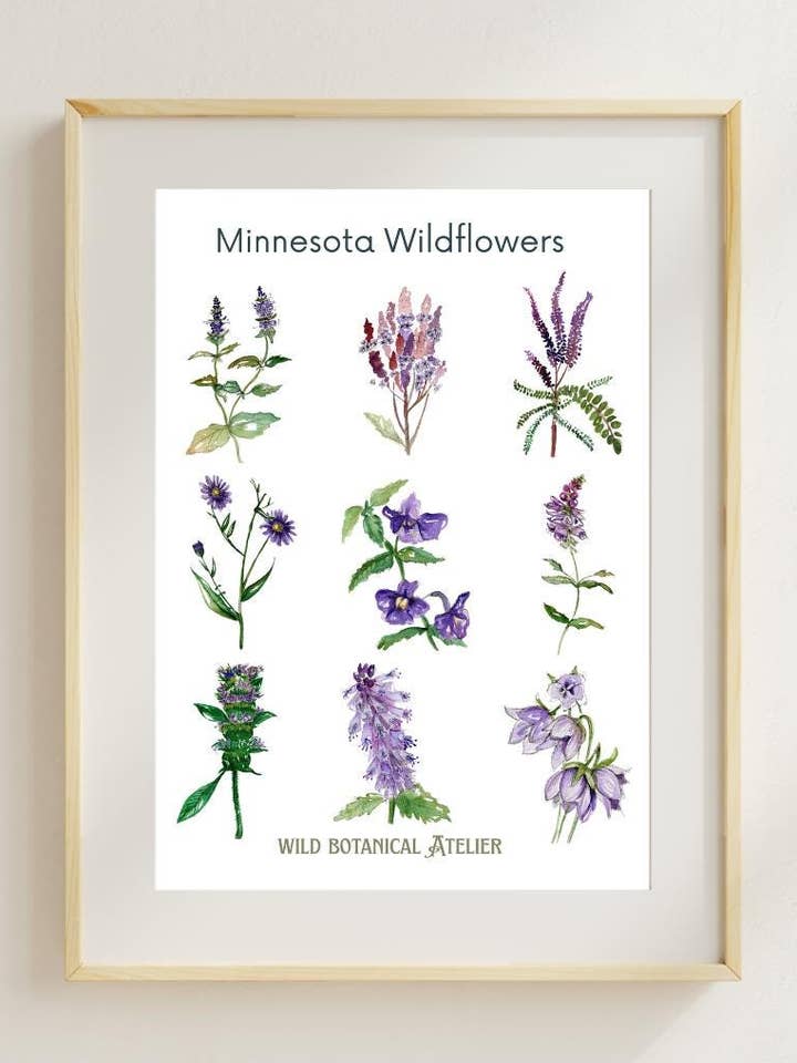 Minnesota Wildflowers Artwork Collection #3 for wholesale by Wild Botanical Atelier