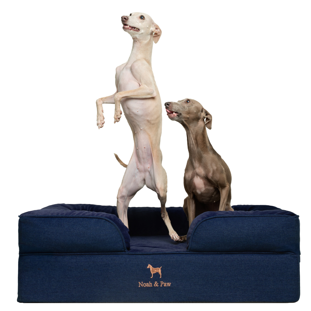 NOAH AND PAW LLC – Großhandel Haustierbett – Katze/Hund – Orthopädisches Haustierbett aus Denim, Memory-Schaum, mit kühlendem Gel durchzogen2