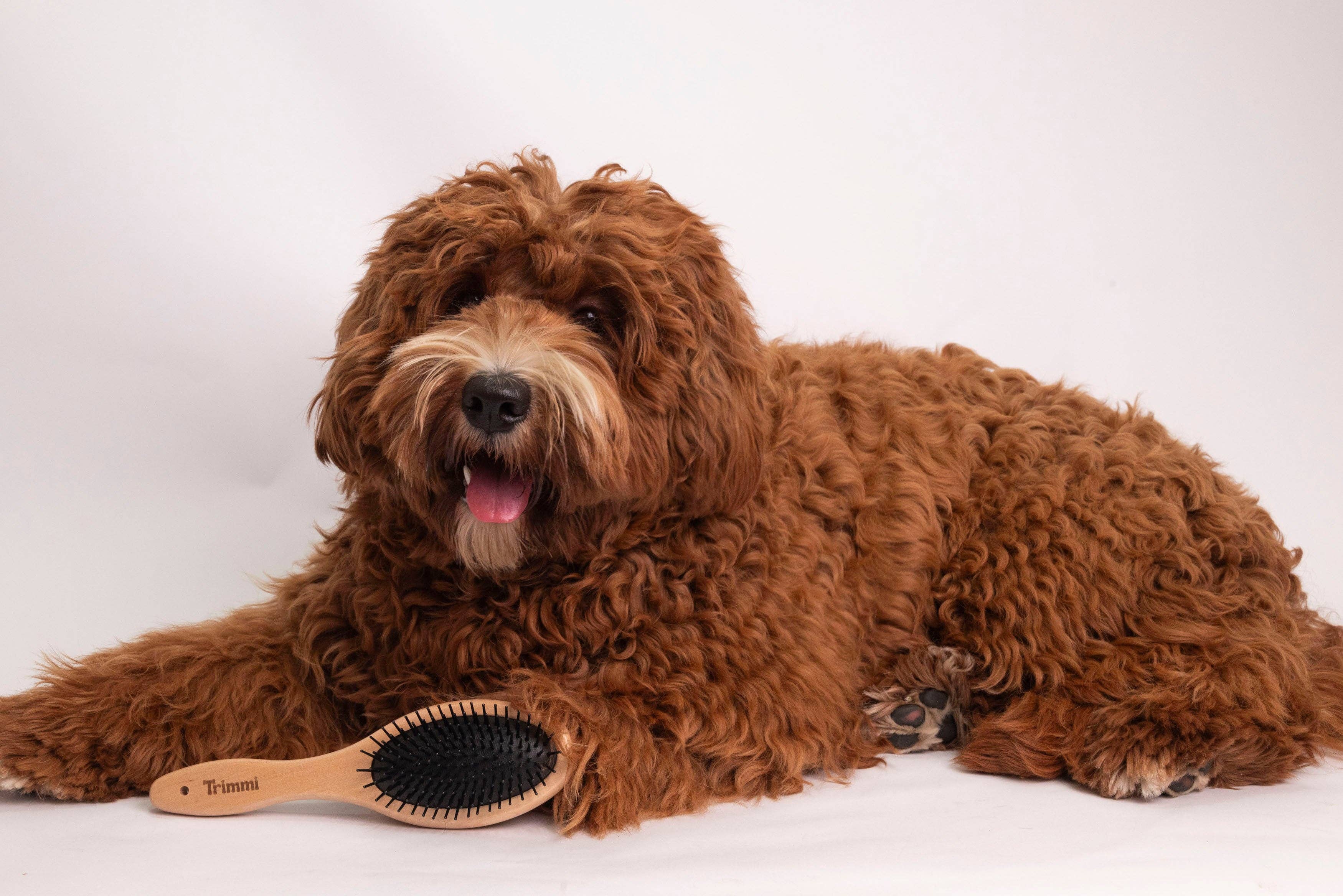Trimmi – Großhandel Haustierbürste – Katze/Hund – Doppelseitige Bürste2