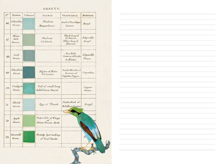 ikonink - Wholesale Journal/Diary - Couleurs Nature Illustrated Journal2