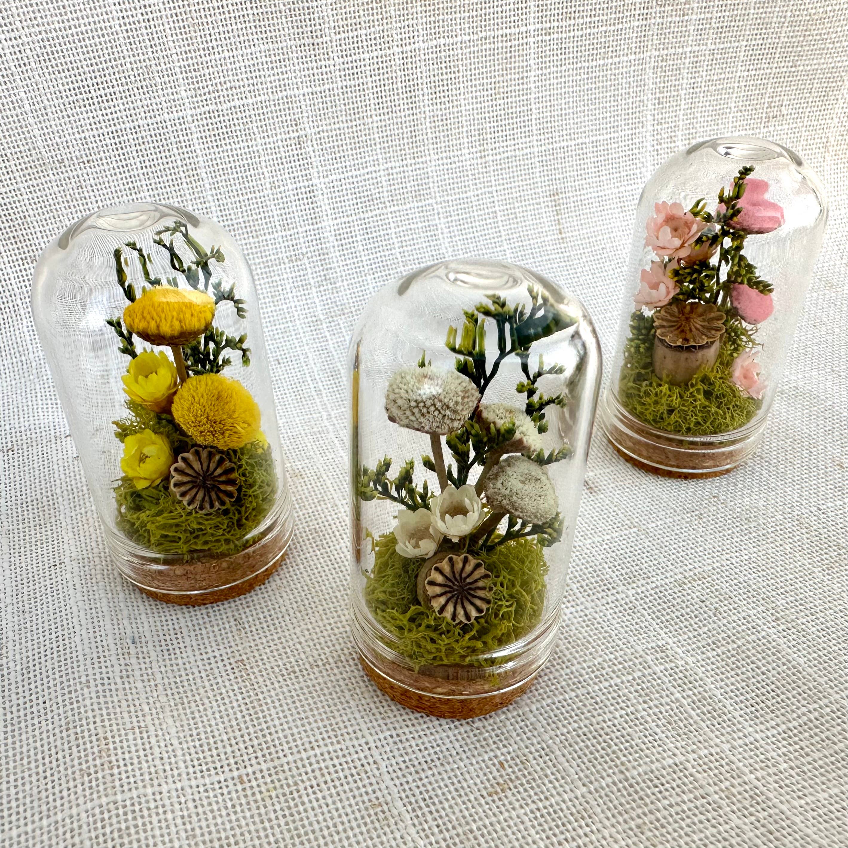 CA Studios - Wholesale Terrarium - Flower Forest Mix Mini Cloche Terrarium w. Dried Florals5