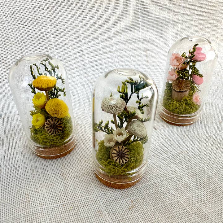CA Studios - Wholesale Terrarium - Flower Forest Mix Mini Cloche Terrarium w. Dried Florals5
