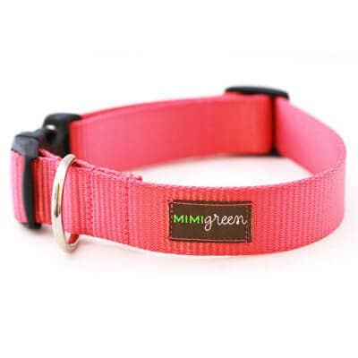 Mimi Green - Wholesale Pet Collar - Dog - Nylon Webbing Dog Collars - 27 Colors!6
