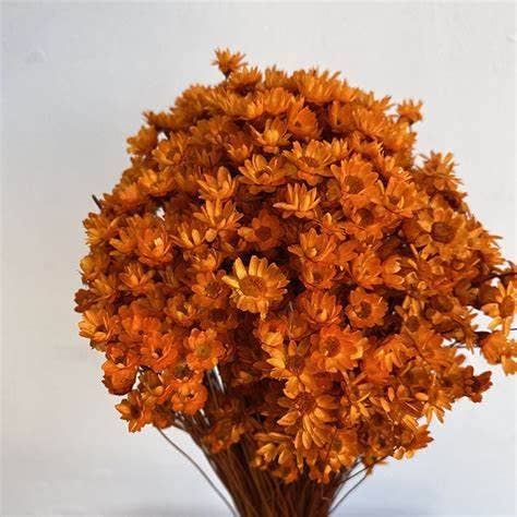 .AVPV. Studio - Wholesale Artificial Flowers - Glixia mini star flowers5