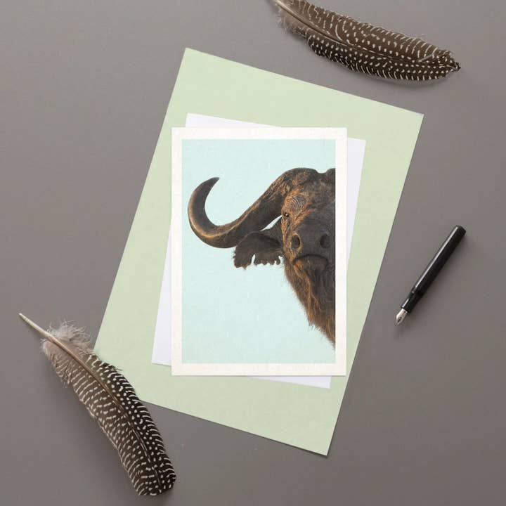 Cape Buffalo Greetings Card for wholesale by Hidden Planet