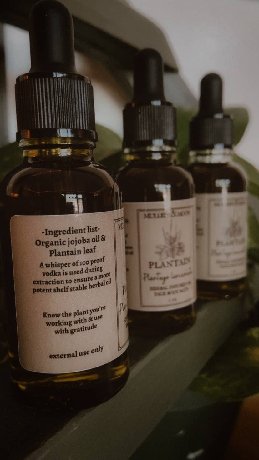 Mullein & Moon - Wholesale Bath/Body Oil - Plantain Herbal Oil1