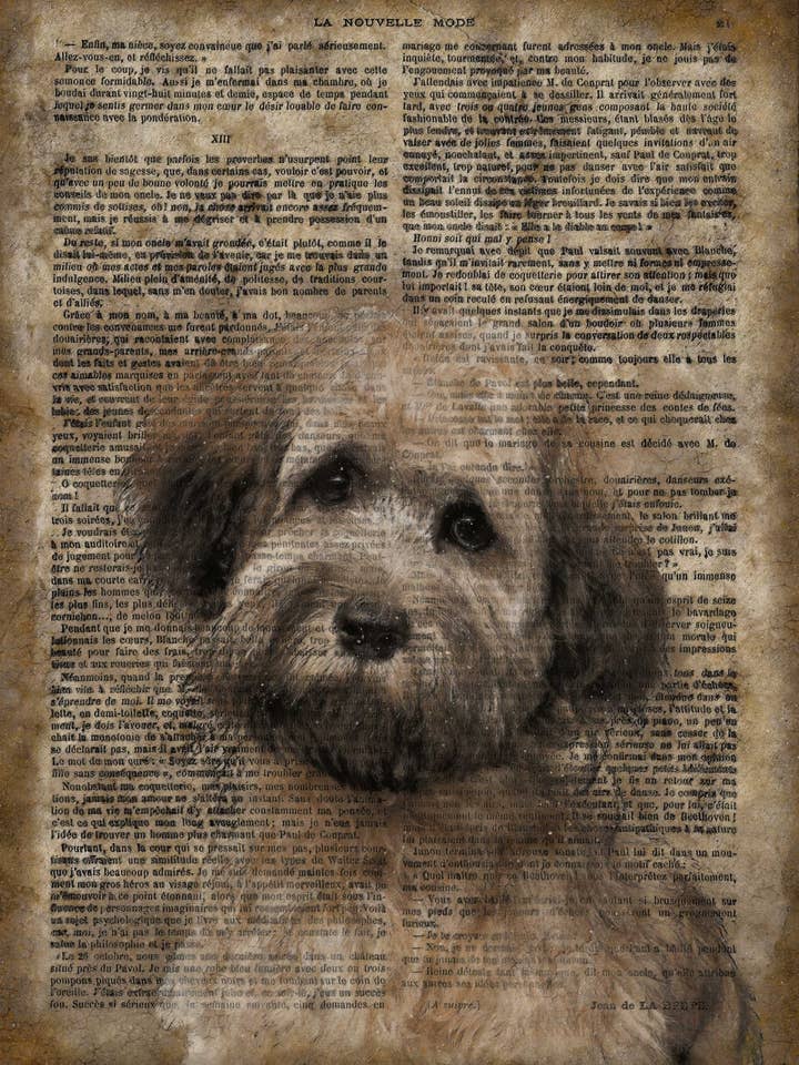 Letrero de pared de madera de papel vintage Havanese 20 x 16» para venta al por mayor de The Shizzle Print Co