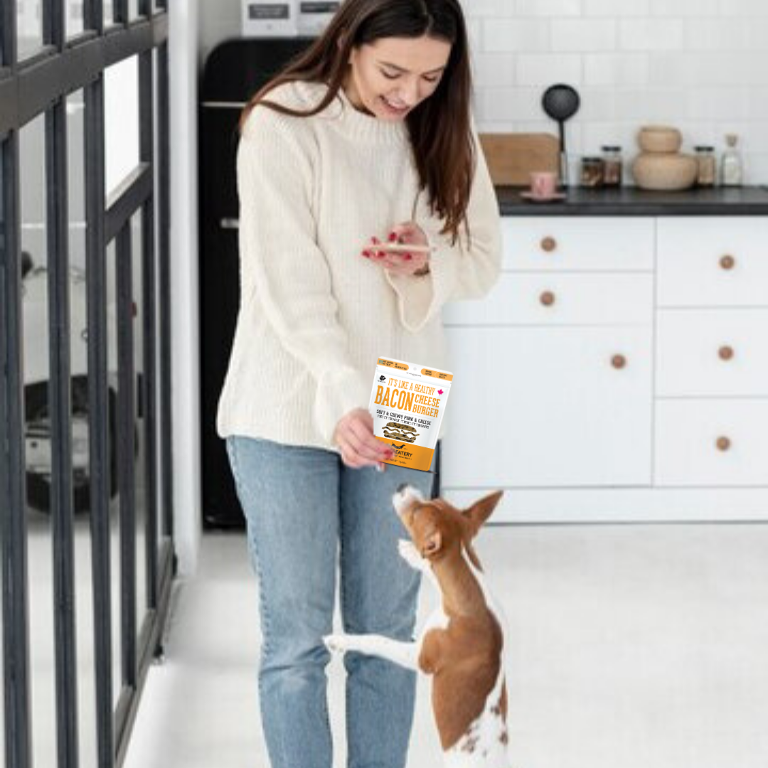 The Granville Island Pet Treatery (USA) - Wholesale Pet Treats - Dog - Pork & Cheese Soft Dog Treats: For Puppies and Seniors9