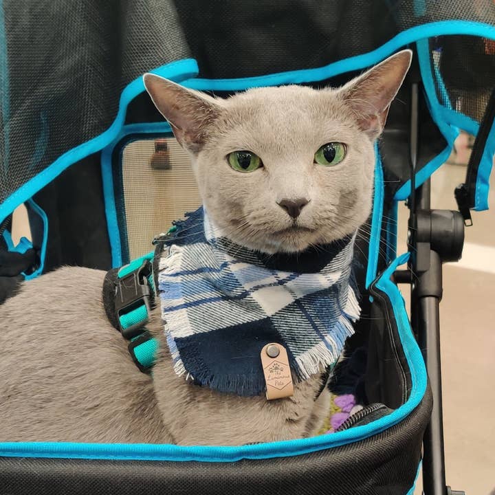 The Luminous Pets - Wholesale Pet Bandana - Dog - Blue/White Plaid Bandana | Cat& Dog Bandana | Adjustable6