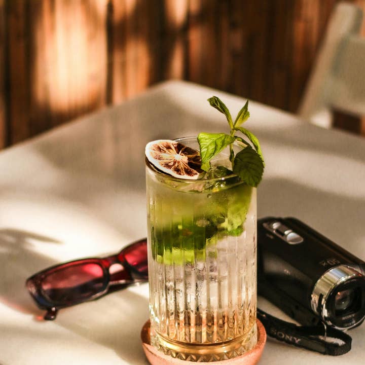 PRESERVED PEEL - Wholesale Dried/Dehydrated Fruit - Dehydrated Lime Slices – BULK SIZE | 270± Slices | DRIED FRUITS for Cocktail Garnish & More4