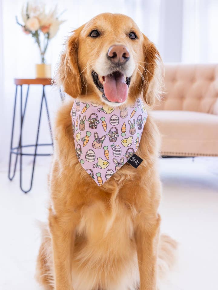 Cute Lilac Easter Dog Bandana - Easter Dog Bandana for wholesale by Tails Up, Pup