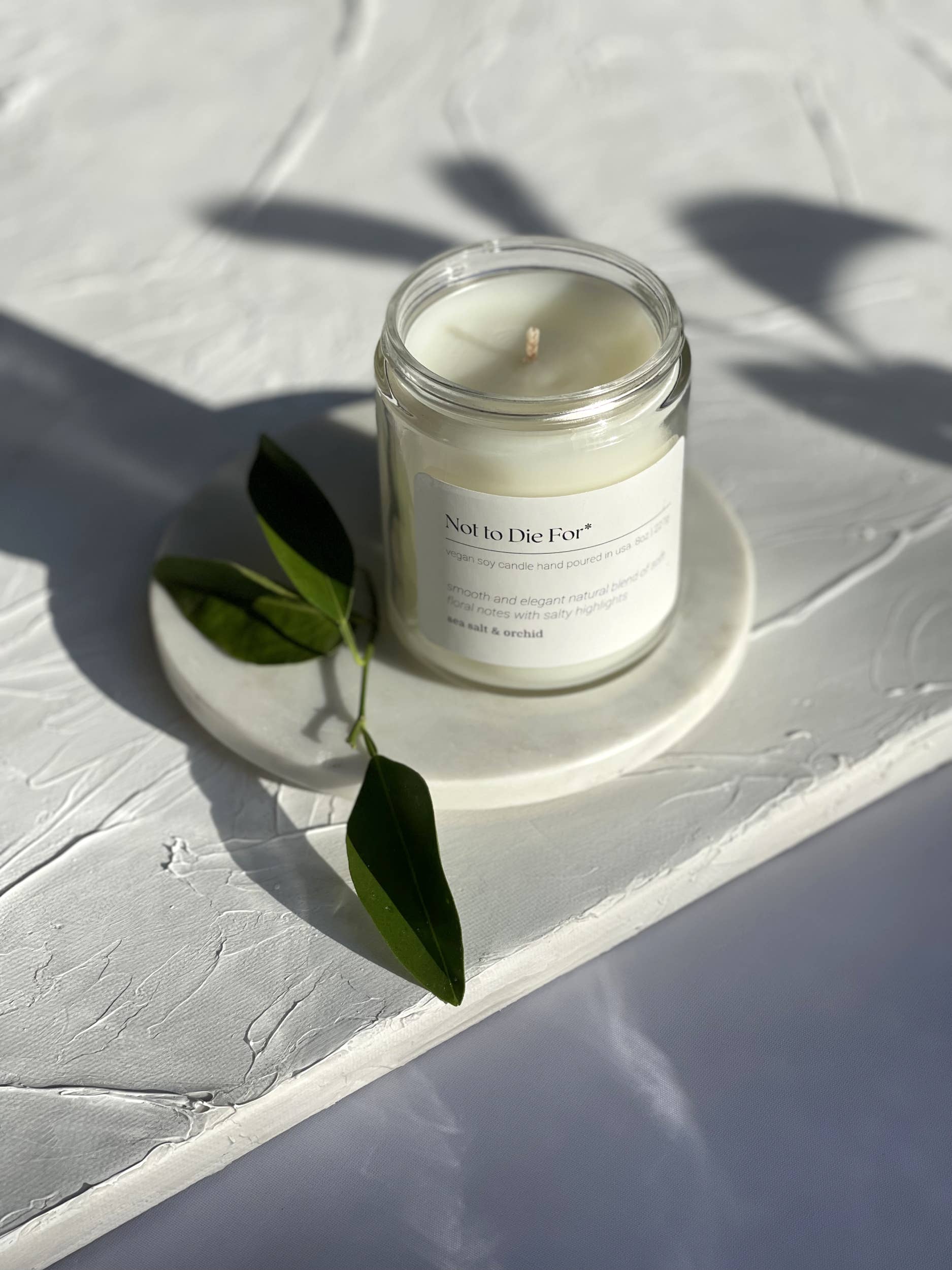 Not to Die For - Wholesale Jar/Filled Candle - Candle – sea salt & orchids1