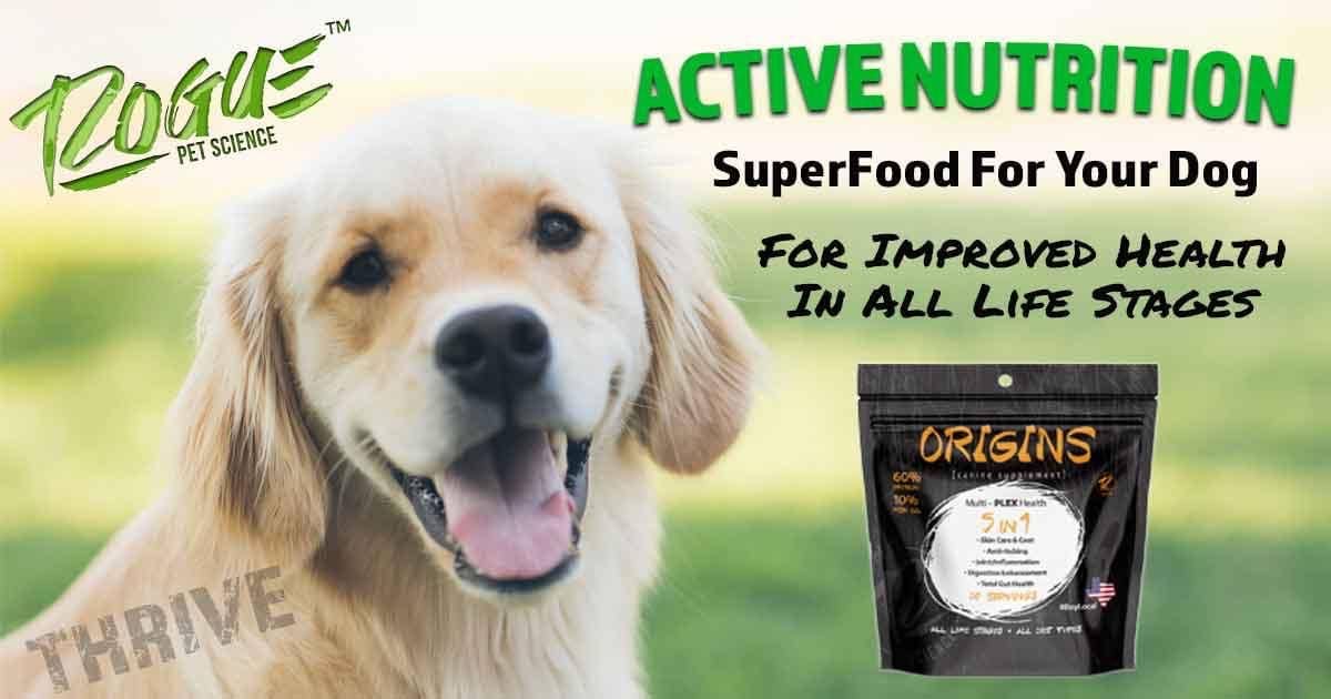 Rogue Pet Science - Wholesale Pet Supplement - Dog - 2 Lb Origins Supplement3
