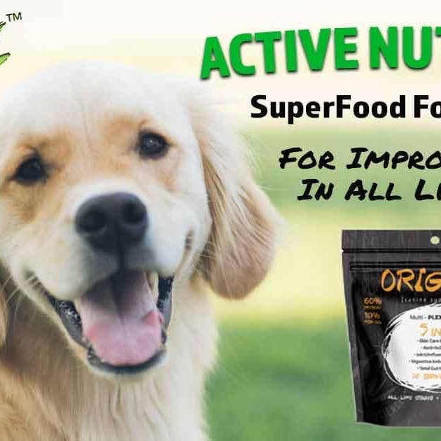 Rogue Pet Science - Wholesale Pet Supplement - Dog - 5 Lb Origins Supplement3