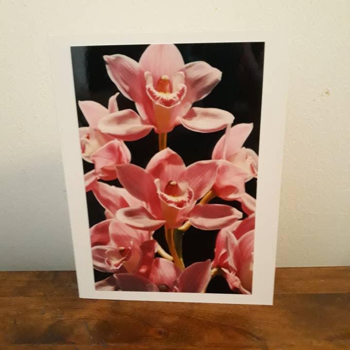 Biglietto di auguri fotografico Pink Orchid per la vendita all'ingrosso da parte di Dawna Anders Photography