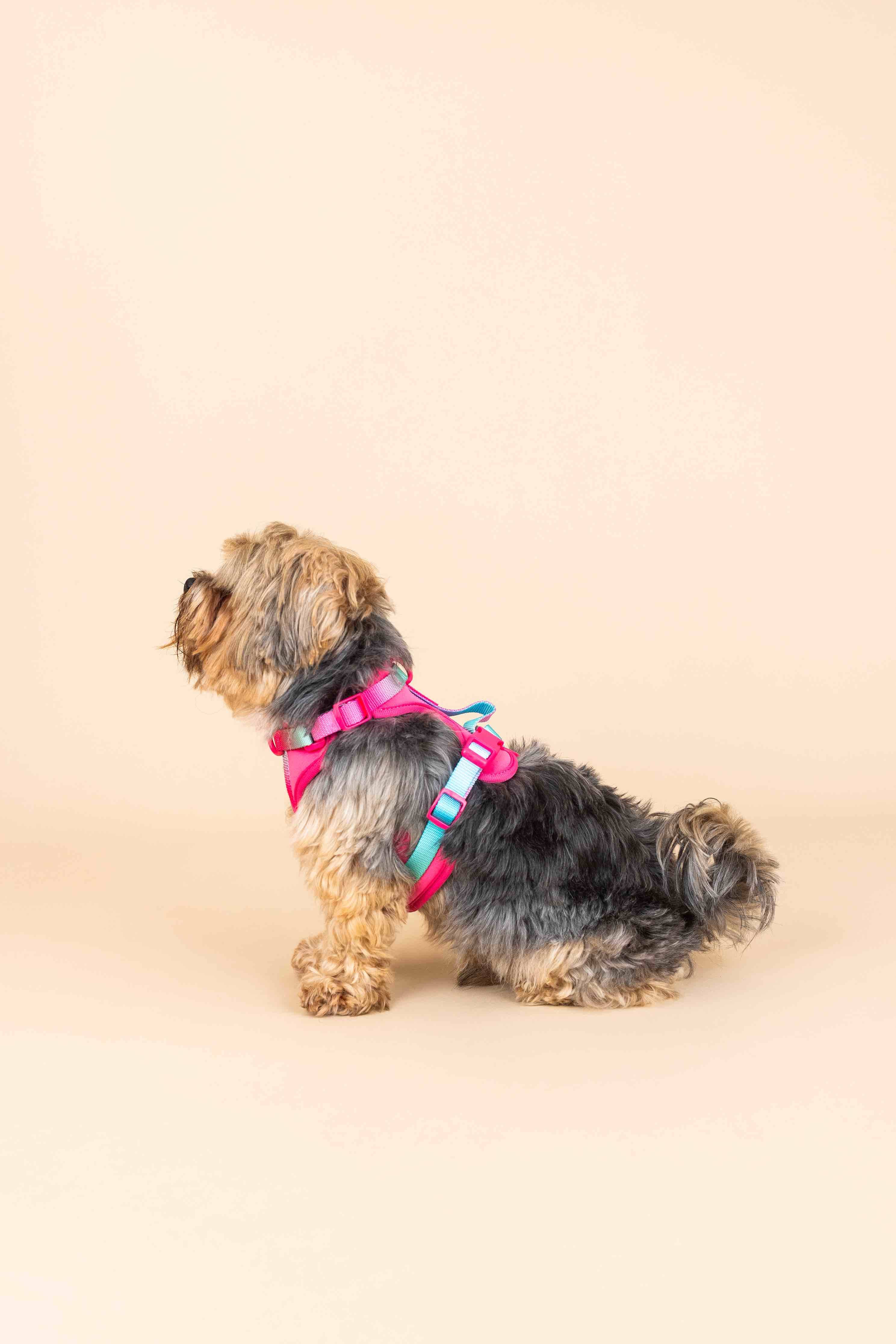 Pink Papyrus | Premium, Durable, & Stylish Dog Products - Wholesale Tuig voor huisdieren - Hond - Stasia hondenharnas | No pull hondenharnas in roze8