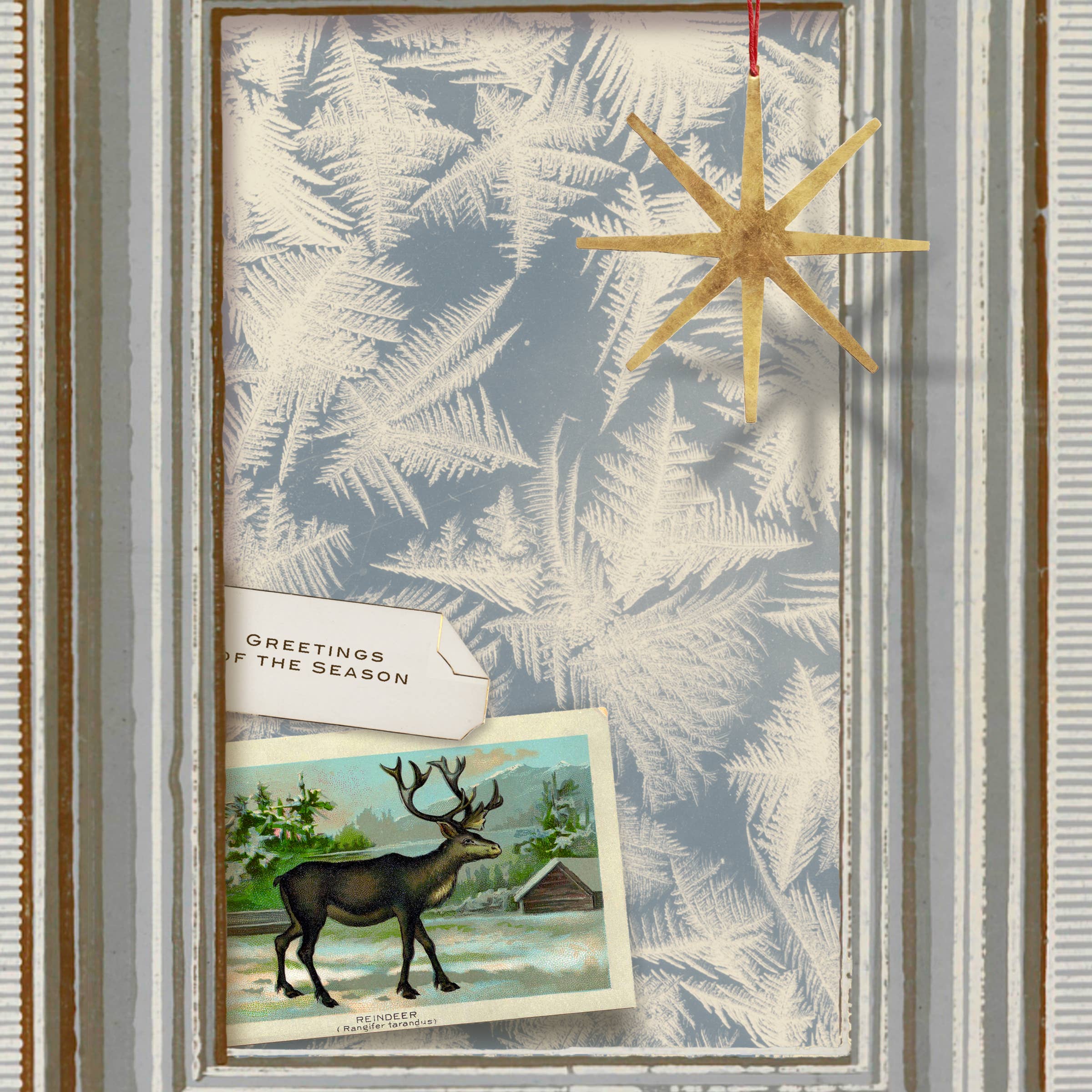 Pictrix Design - Wholesale Season's Greetings Card - "Greetings of the season" seasonal greeting card2