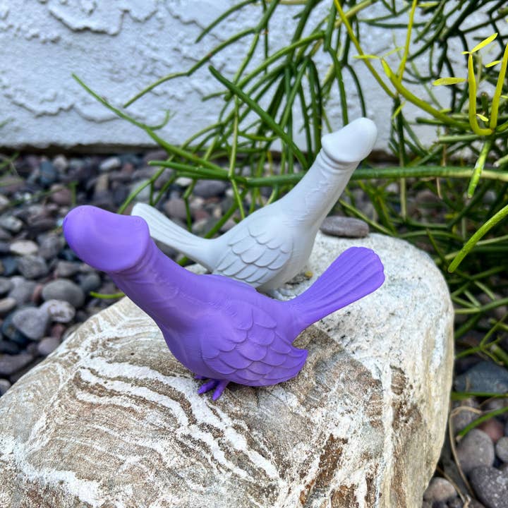 NumanPrints - Wholesale Gag gift/novelty gift - Dick Bird Pigeon Dove Penis Cock Dino-Dick Dickasaurus5