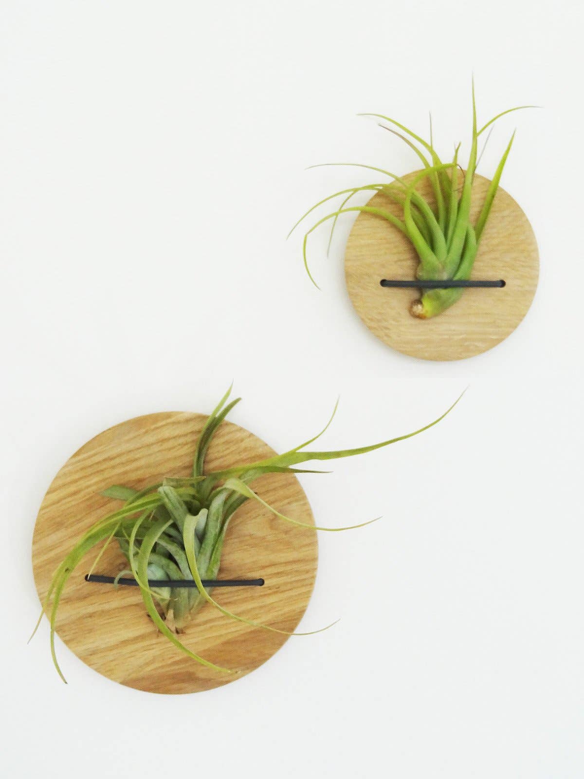 Etairnity - Wholesale Milestone Art/Keepsake - Kids & Baby - Discs (set of 2) - Light Oak3