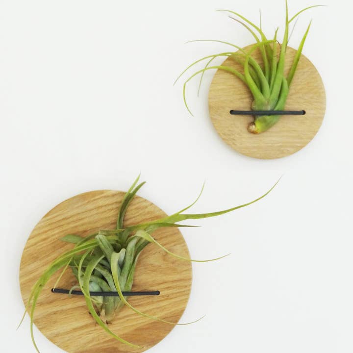 Etairnity - Wholesale Milestone Art/Keepsake - Kids & Baby - Discs (set of 2) - Light Oak3