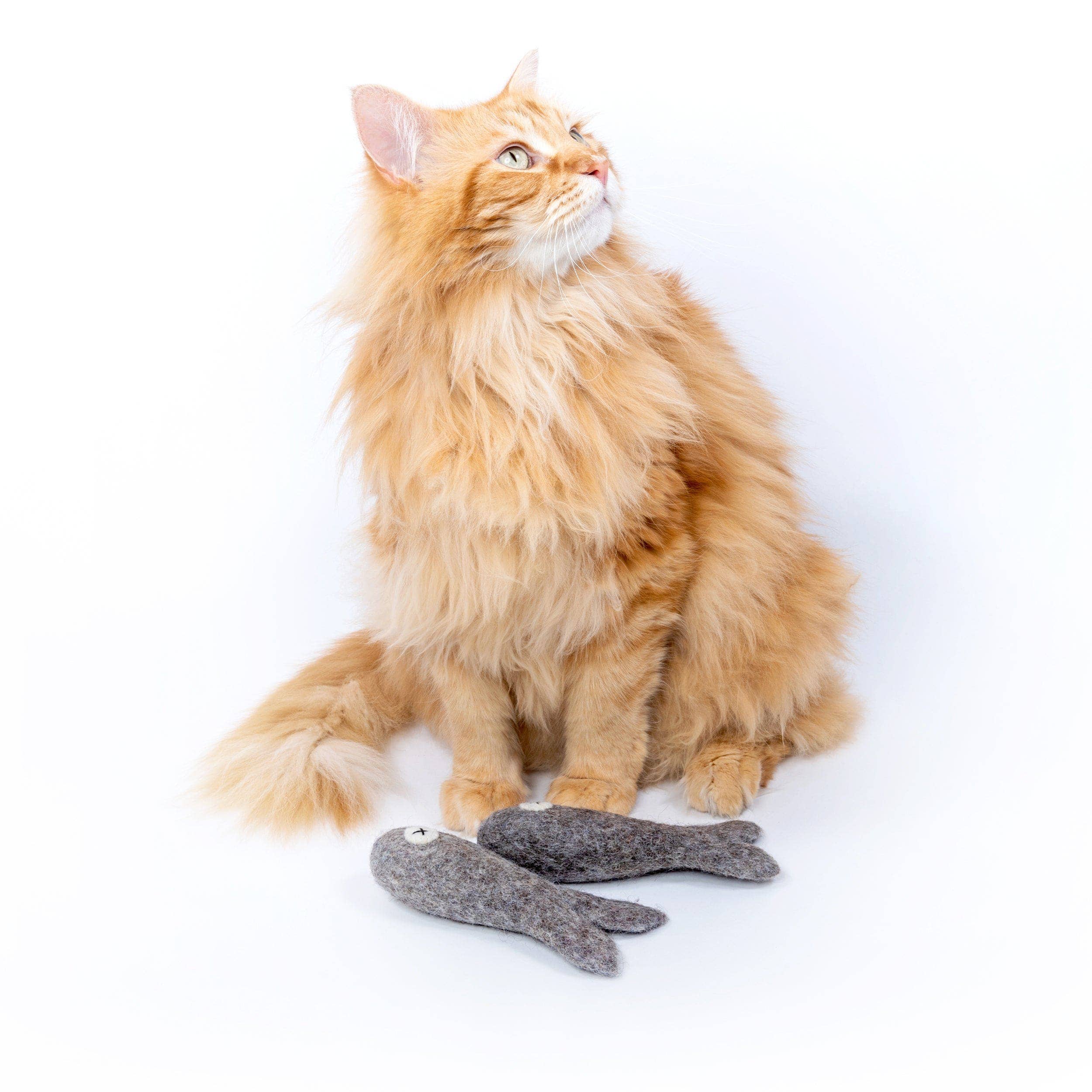 Mimi’s Daughters - Wholesale Pet Toy - Cat - Felix the Fish 15cm - Felt Cat Toy2