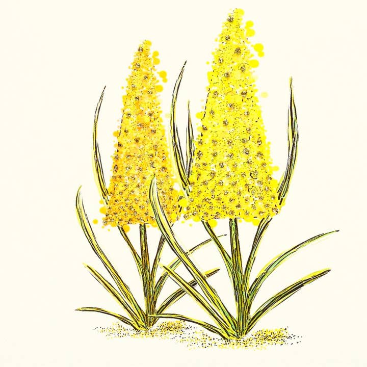 English Graphics - Wholesale Everyday Greeting Card - Lupin Yellow1