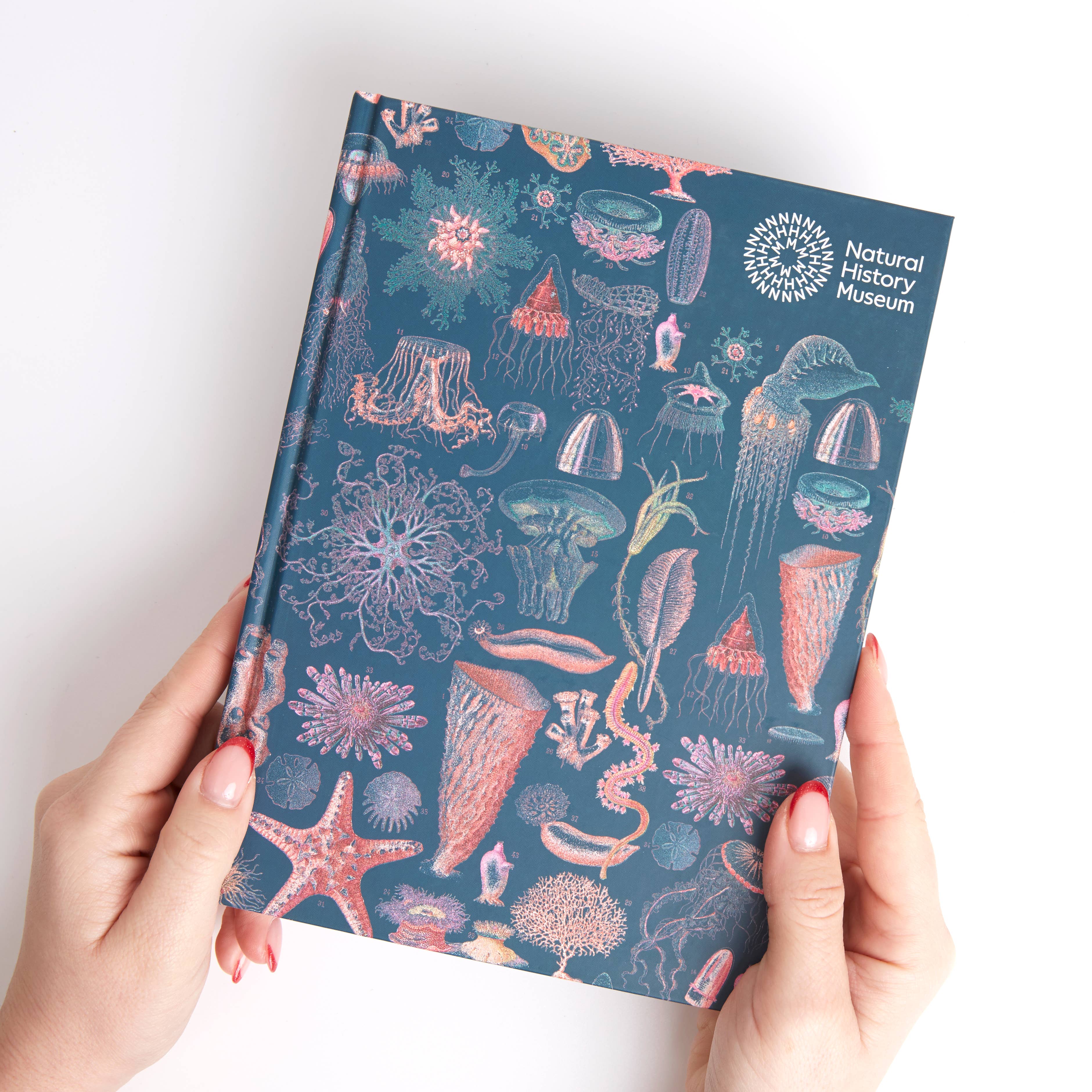 West Design Products – wholesale Sketchbook/sketchpad – Natural History Museum A5 Underwater Hardback Sketchbook7