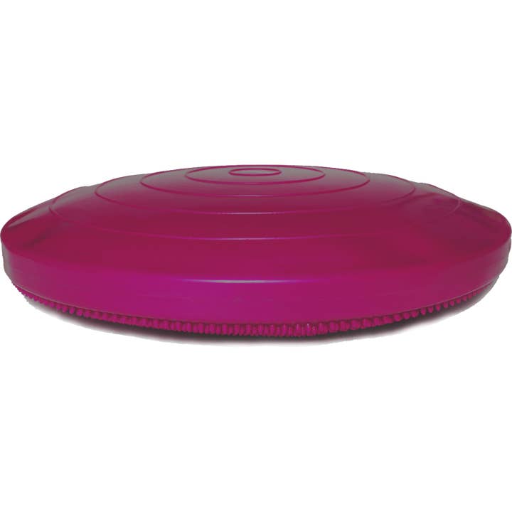 FitPAWS - Wholesale Pet Toy - Dog - FitPAWS® Balance Discs, 22" large