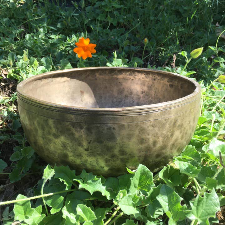 Wildheart Crystals - Wholesale Meditation Supplies - AAA Vintage Hand Hammered Tibetan Singing Bowl 11 inches8