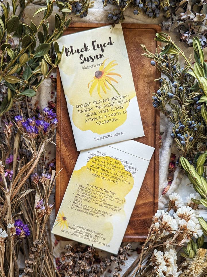 Black Eyed Susan Flower Seeds for wholesale by The Elevated Seed Co.