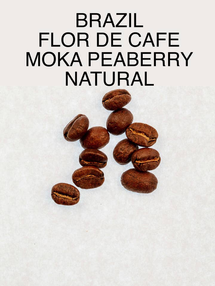 Brazilië Flor De Cafe Moka Peaberry - Natuurlijk voor wholesale door Hill Tree Roastery