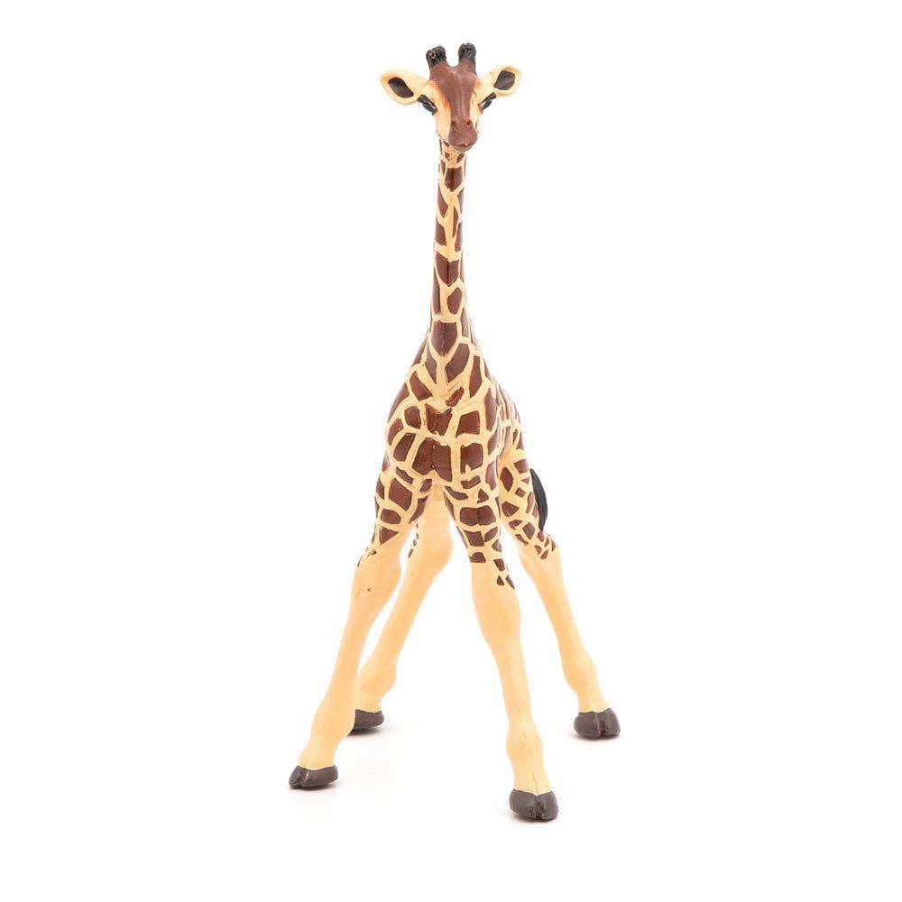 Meroncourt Europe Ltd – wholesale Figurine toy – Kids – PAPO Wild Animal Kingdom Giraffe Calf Toy Figure, Three Years or Above, Multi-colour (50100)6