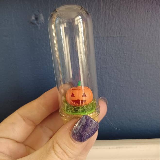 Kürbis-Glas-Kuriositätenglas für den Großhandel von Minifi's Oddities