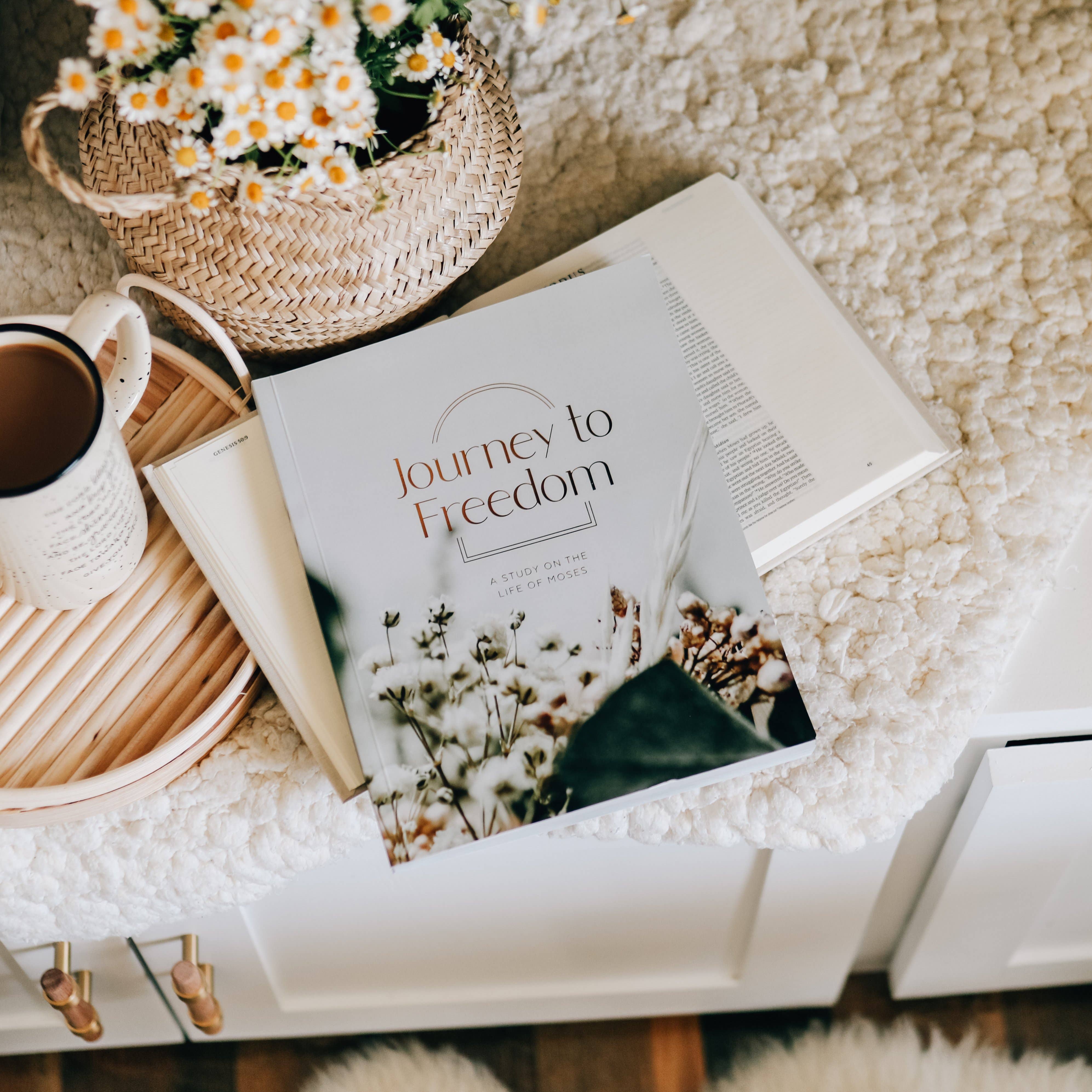 The Daily Grace Co - Wholesale Religion - Journey to Freedom | The Life of Moses8