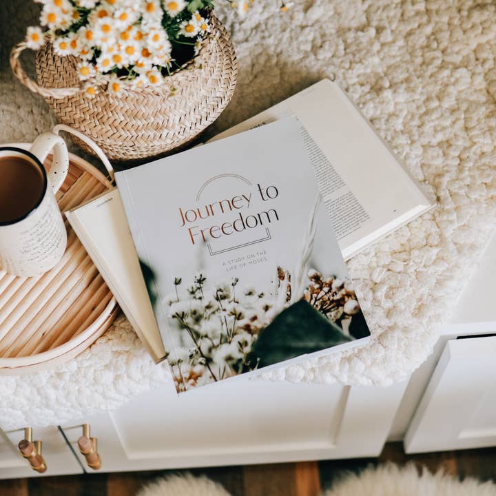 The Daily Grace Co - Wholesale Religion - Journey to Freedom | The Life of Moses8