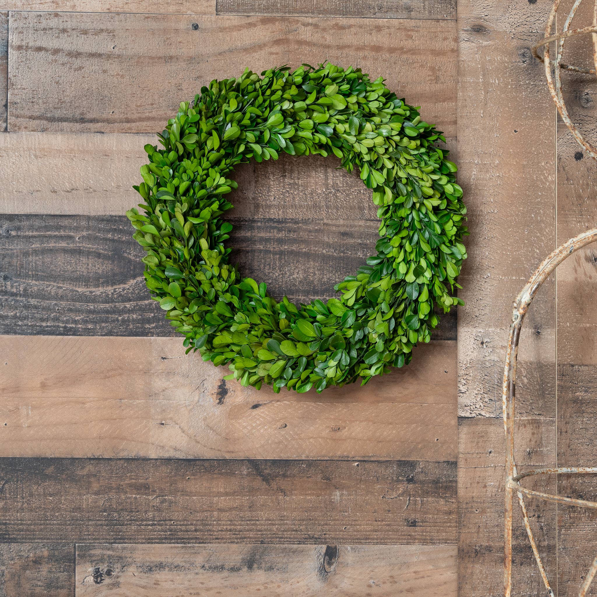 Mills Floral Company – wholesale Wreath – Preserved Boxwood Country Manor Wreath - Round - 14 Inch2