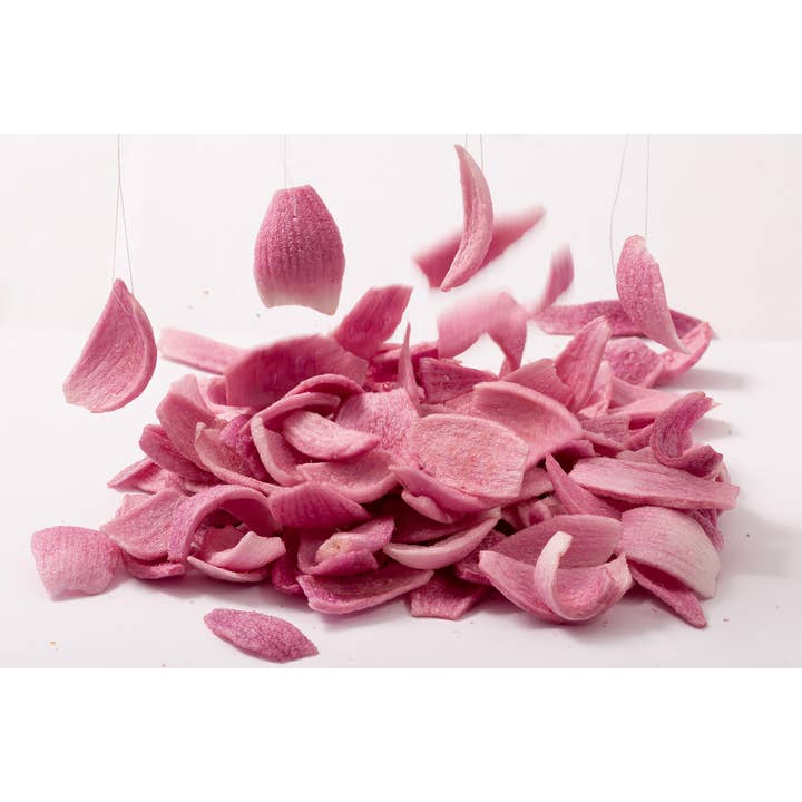 TerraLand - Vente Encas soufflé - Oignons Terraland (sel de mer) 8*1,5 oz (42,5 g)4