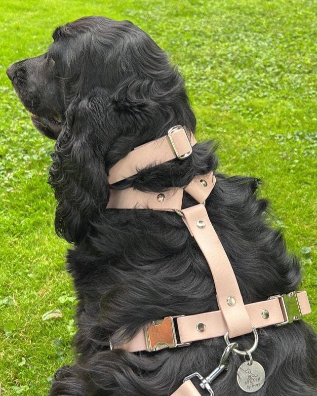 Splash By Happy - Wholesale Pet Collar - Dog - Biothane® clip necklace6